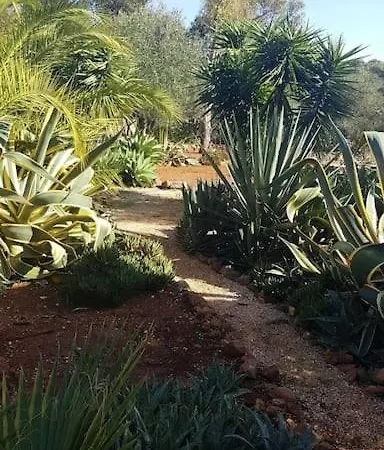 Casa Lorenzo * Portimão
